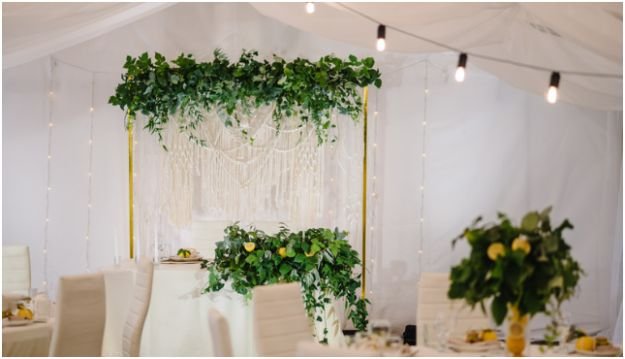 Small Greenery Accents That Feel Expensive